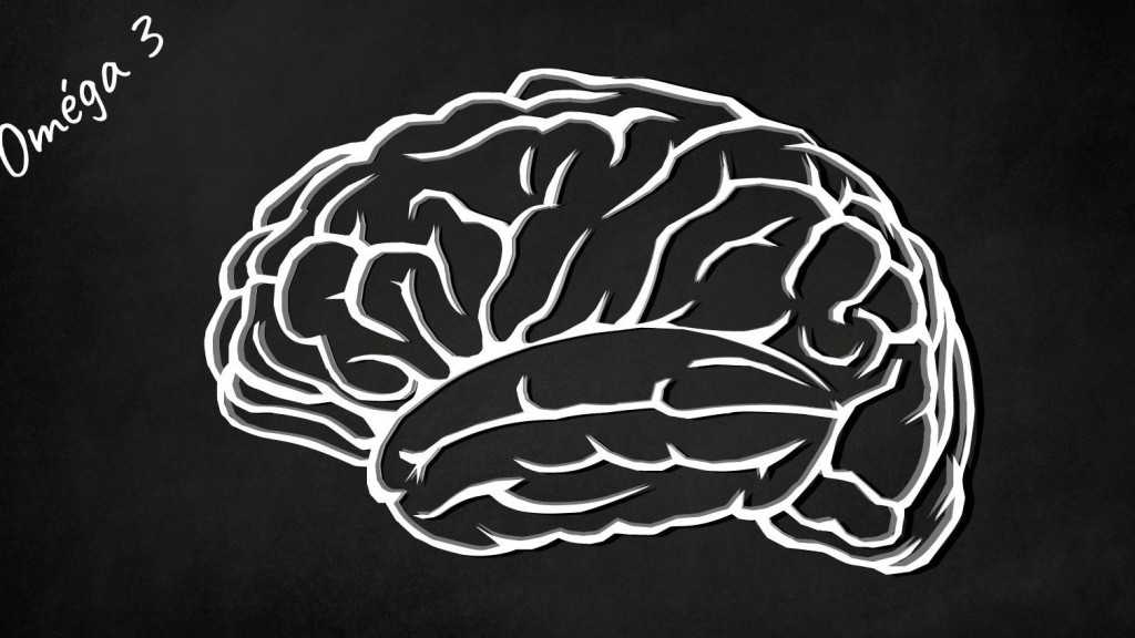 Les oméga-3 : un apport essentiel pour bon développement cérébral 