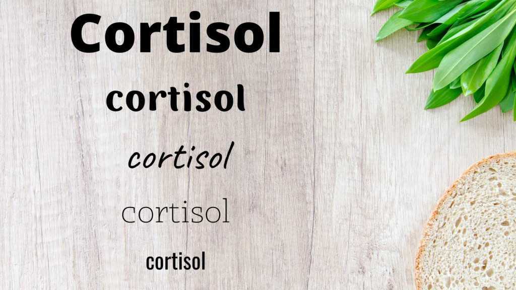 Qu'est-ce que le cortisol et quelles sont ses fonctions dans l’organisme ?
