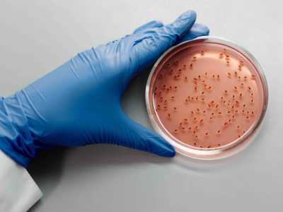 Qu'est-ce que le microbiote intestinal et quel est son rôle dans l'organisme ?
