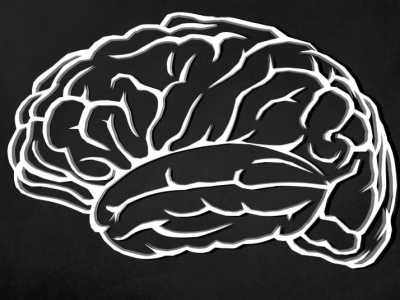 Les oméga-3 : un apport essentiel pour bon développement cérébral 
