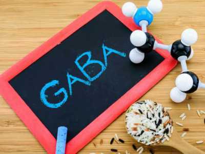 Qu’est-ce que le GABA et quel est son rôle ? 